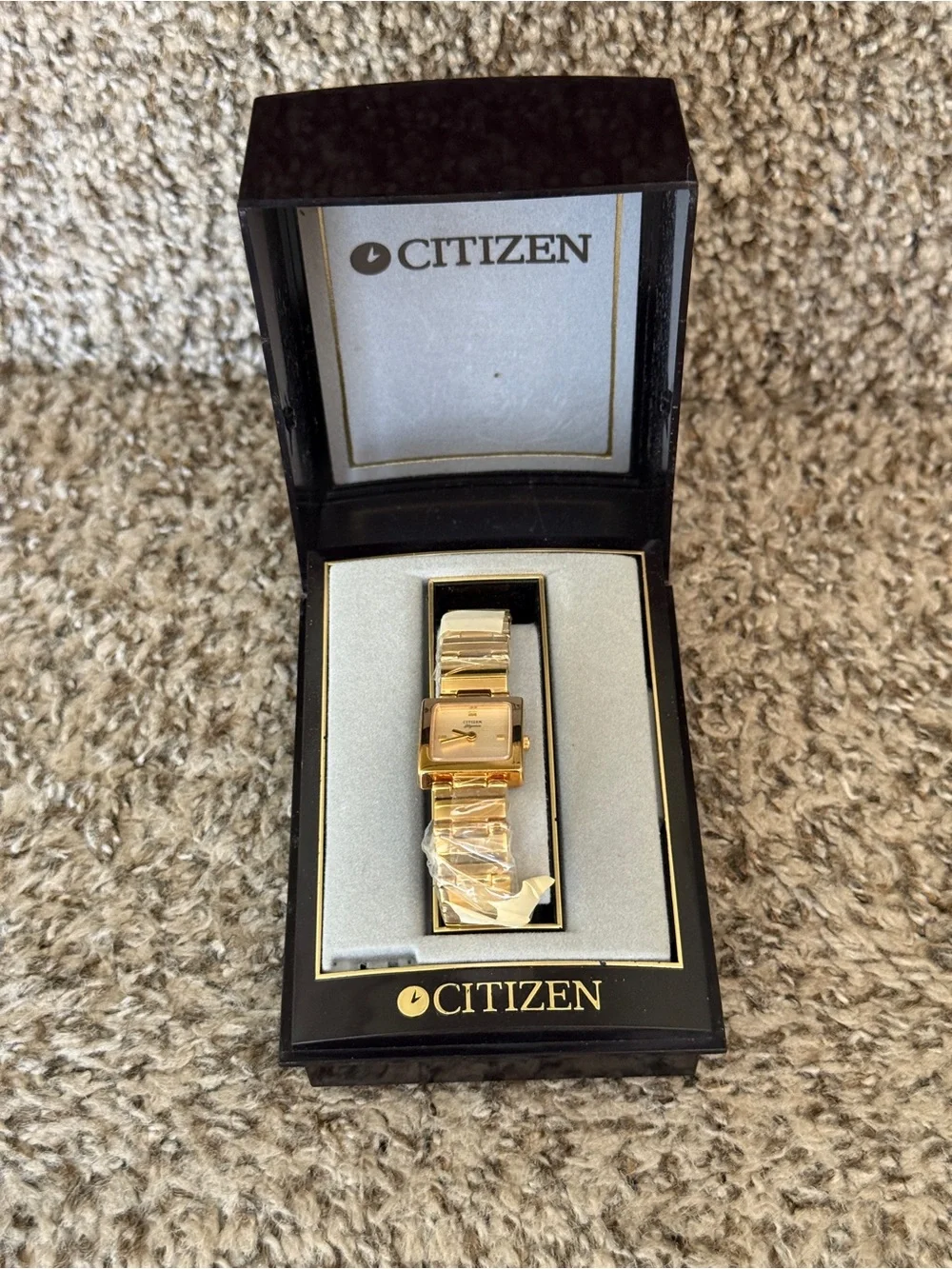 Citizen sleek ladies